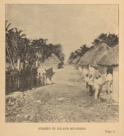 Street in Island Mujeres by Alice D. Le Plongeon